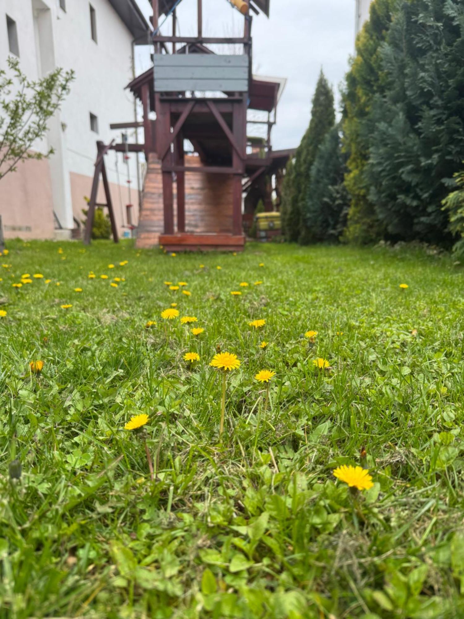 Pensiunea Casa Rica Calimanesti Exterior foto